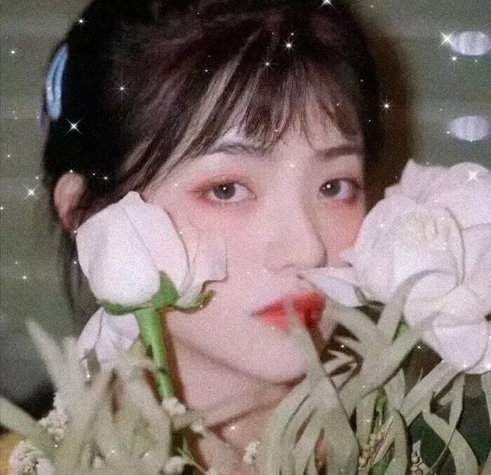 亲爱的,不要跨过那条江